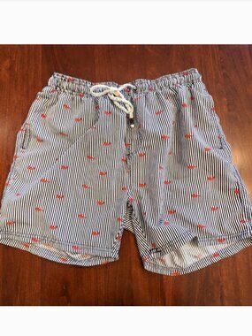 Exist Swim men's swim trunks beach shorts. Size medium
